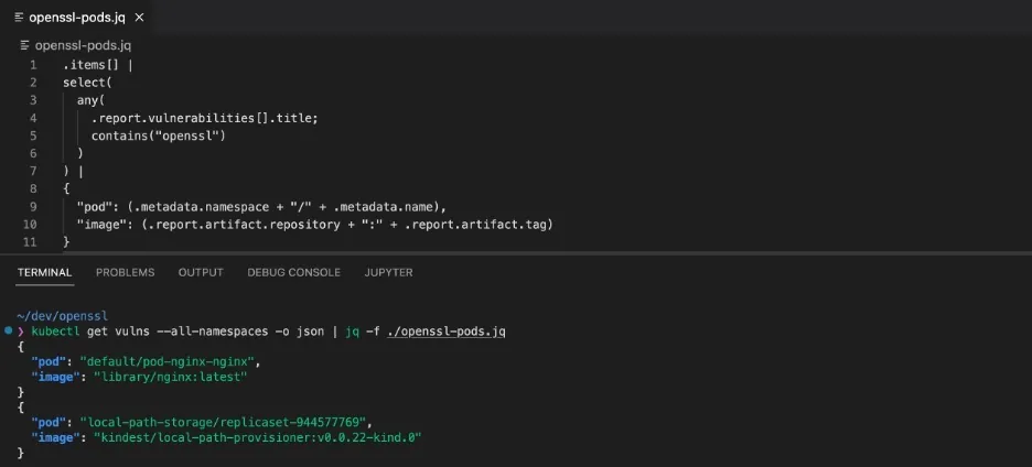 Check for OpenSSL related vulnerabilities in the generated Vulnerability Reports