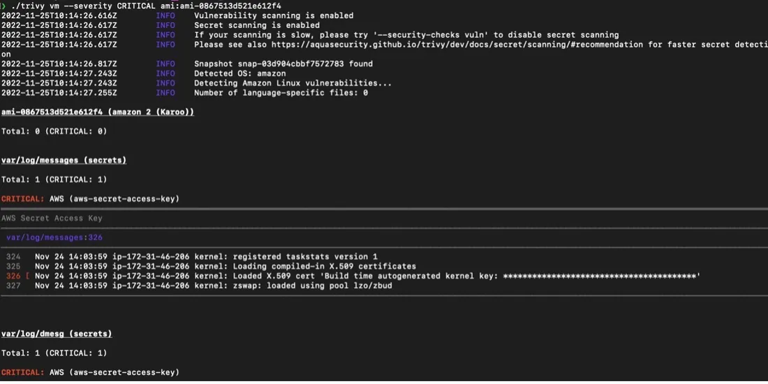 VM scan locally through the Trivy CLI